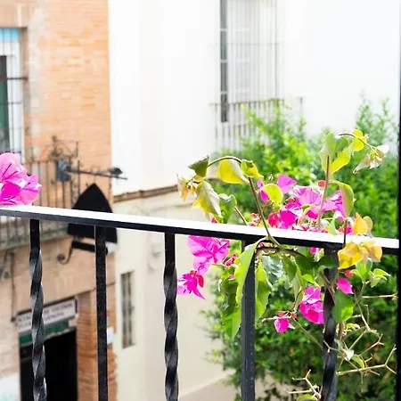 Appartement Tourist House Santa Cruz Séville